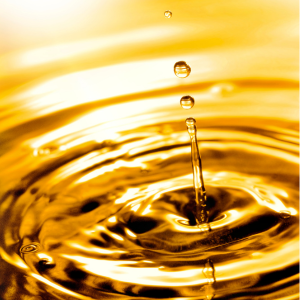 What Makes a Diesel Supplier the Best Fit for Your Fleet